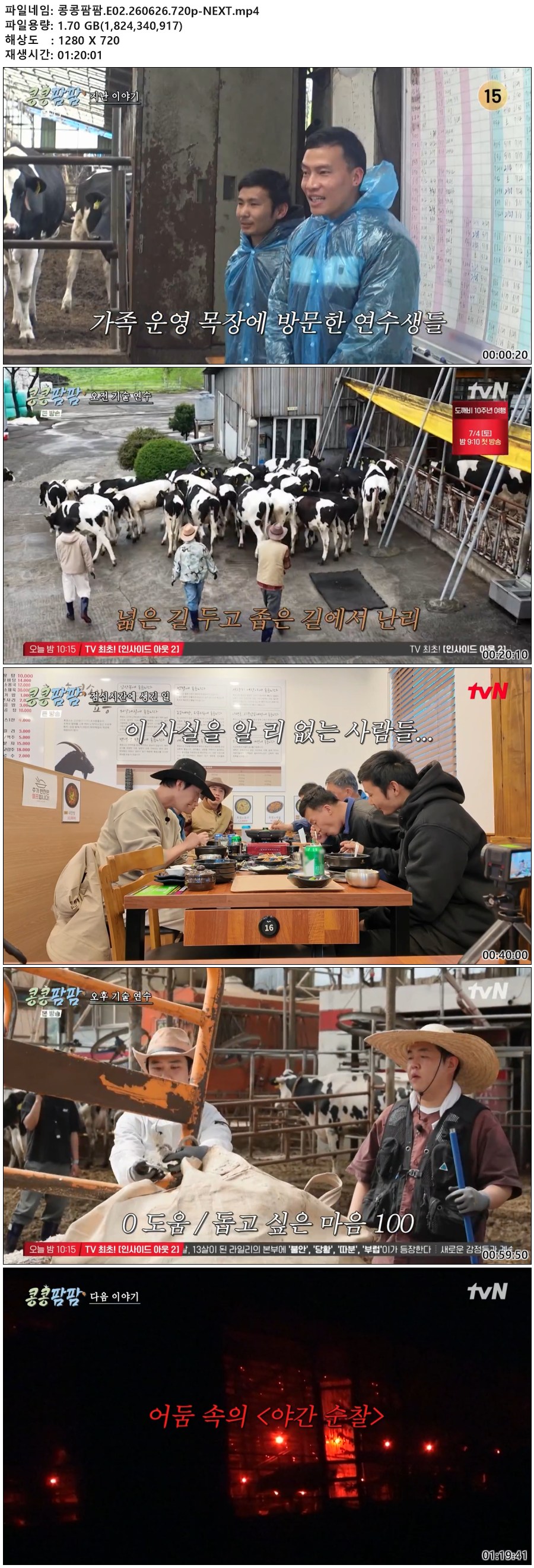 콩콩팜팜.E02.260626.720p-NEXT
