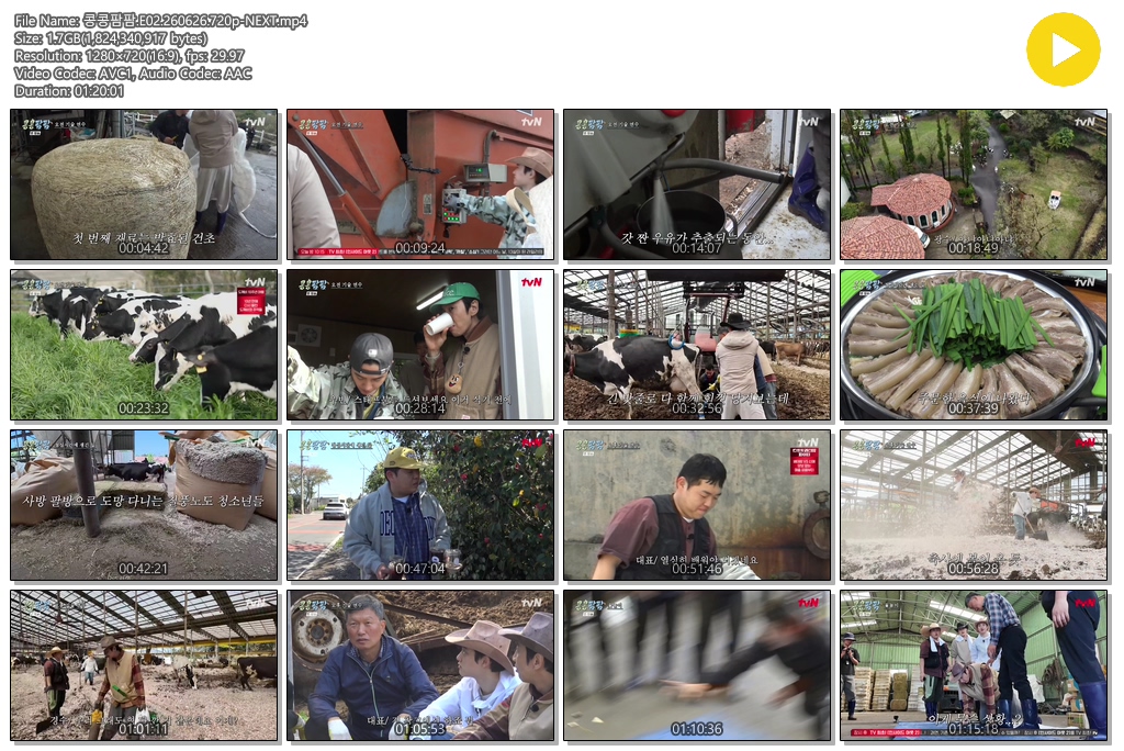 콩콩팜팜.E02.260626.720p-NEXT