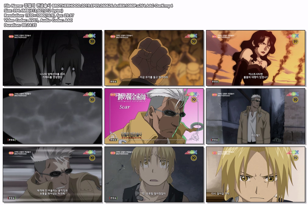 강철의 연금술사 BROTHERHOOD.2019.EP05.260626.AniBX.1080P.x264.AAC-DarK
