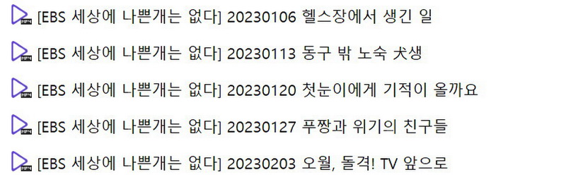 나쁜개 시즌3 2023-1