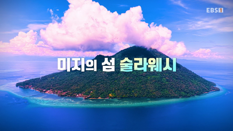 세계여행 20260622 기묘한 섬, 술라웨시 탐험기