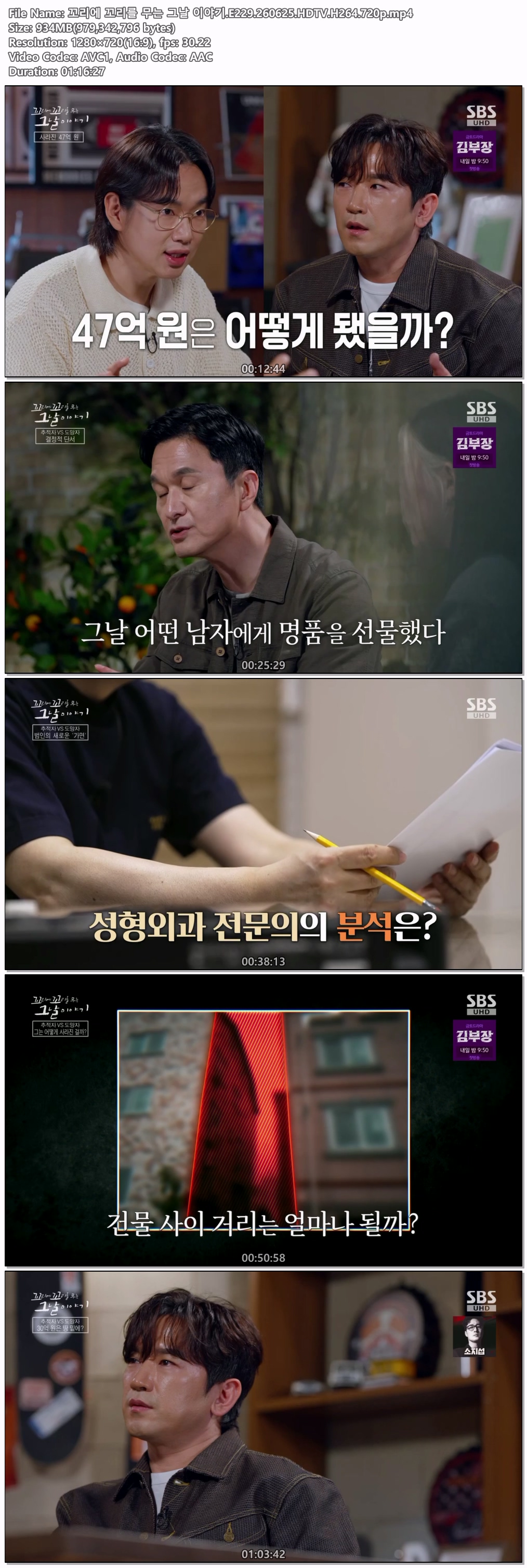 꼬리에 꼬리를 무는 그날 이야기.E229.260625.HDTV.H264.720p
