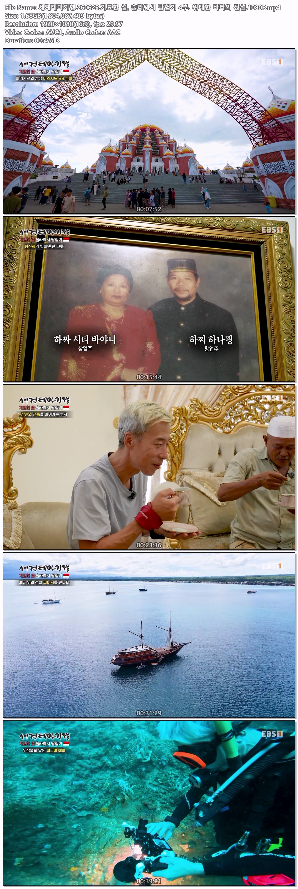 세계테마기행.260625.기묘한 섬, 술라웨시 탐험기 4부. 위대한 바다의 전설.1080P