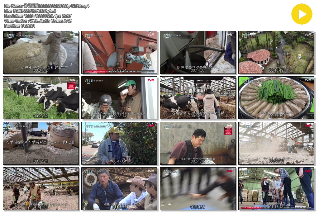 콩콩팜팜.E02.260626.1080p-NEXT