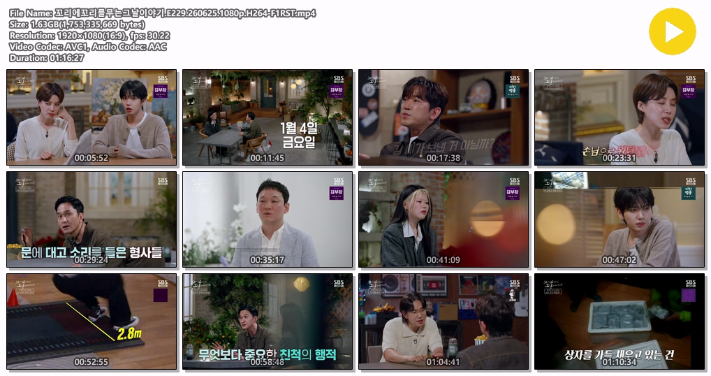 꼬리에꼬리를무는그날이야기.E229.260625.1080p.H264-F1RST