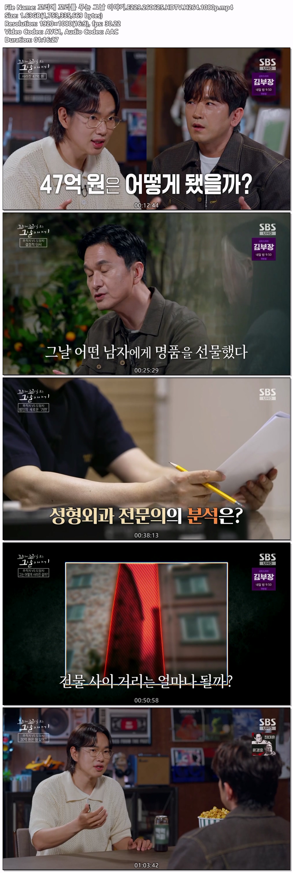 꼬리에 꼬리를 무는 그날 이야기.E229.260625.HDTV.H264.1080p