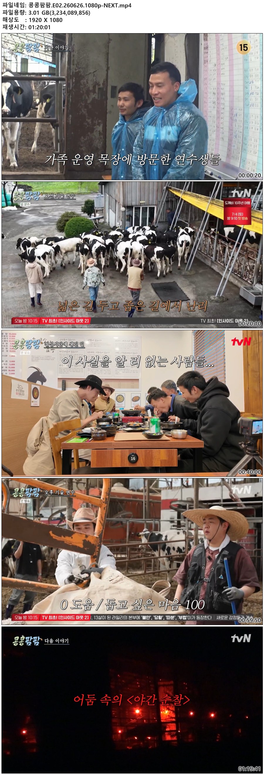 콩콩팜팜.E02.260626.1080p-NEXT