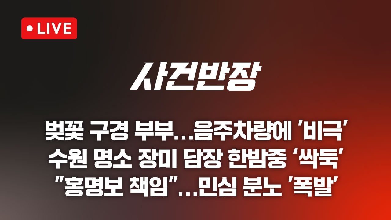 260627 사건반장  벚꽃 구경 나선 부부…음주차량에 비극 (26.6.26)
