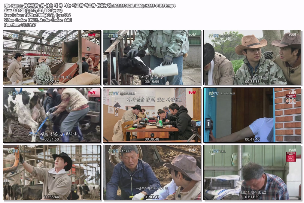 콩콩팜팜 (콩 심은 데 콩 나는 가고팜 하고팜 동물농장).E02.260626.1080p.H265-F1RST