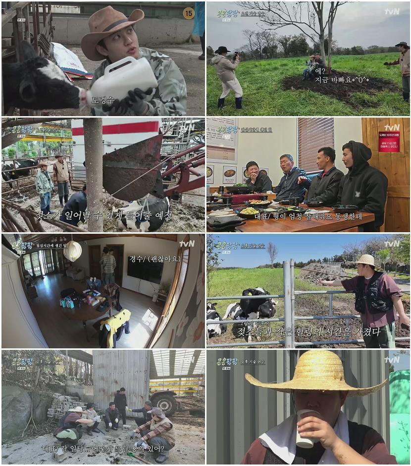 콩콩팜팜.E02.260626.1080p.H264-F1RST