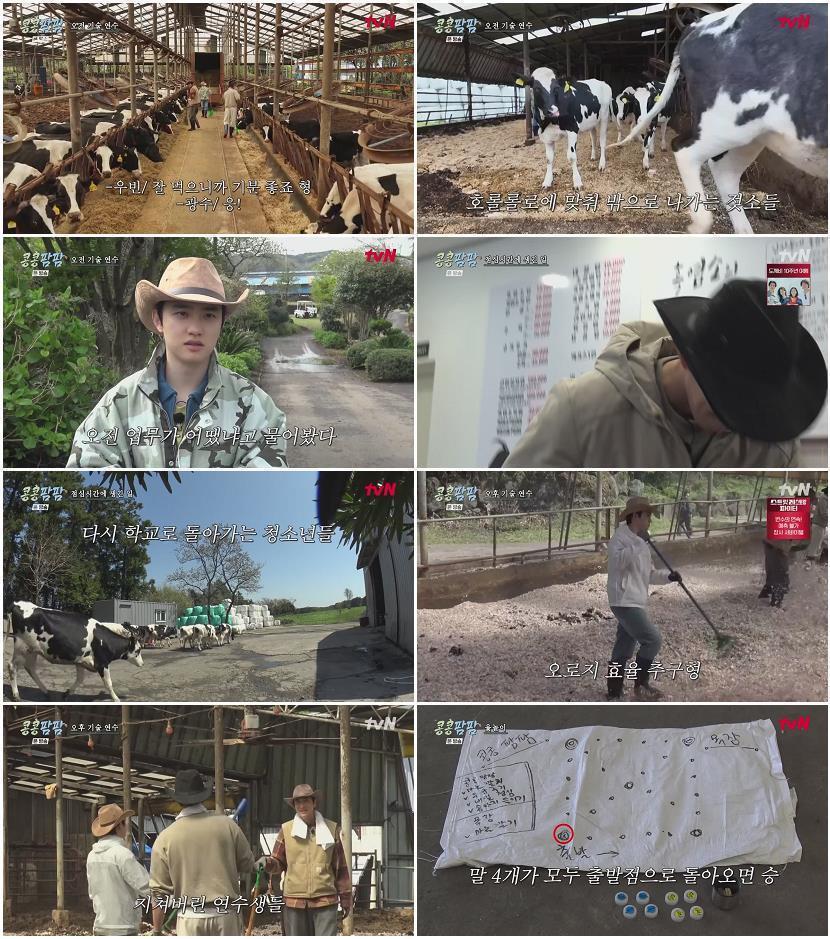 콩콩팜팜.E02.260626.720p-NEXT