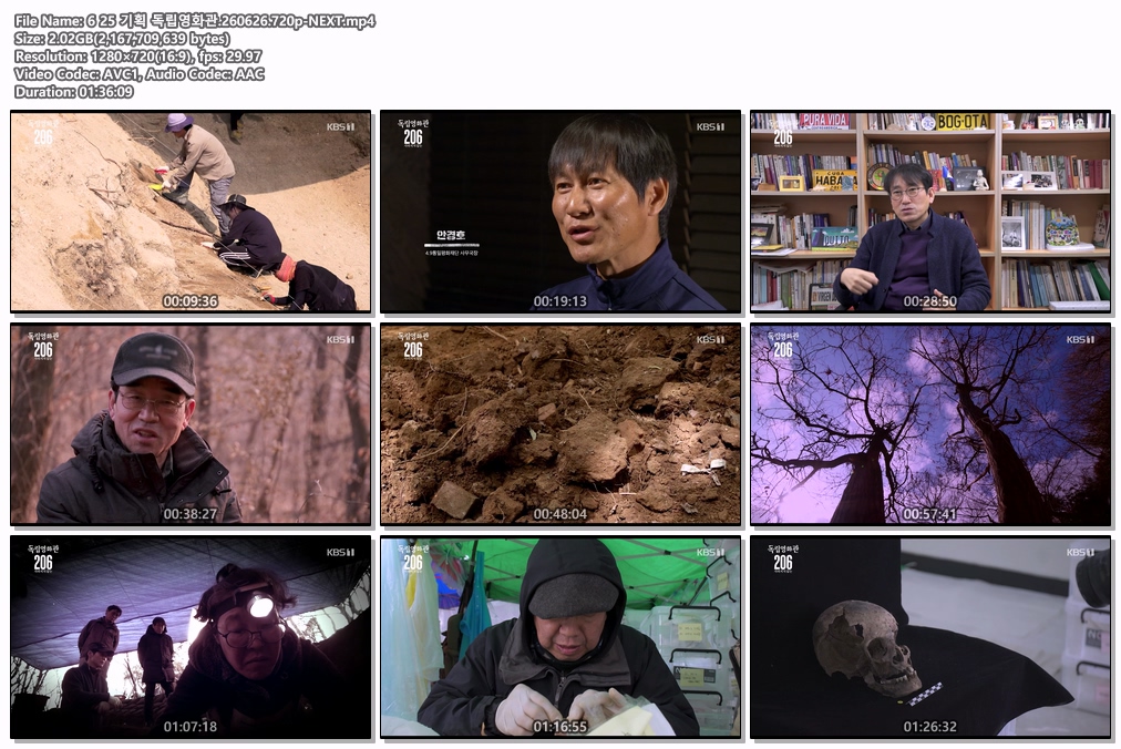 6 25 기획 독립영화관.260626.720p-NEXT