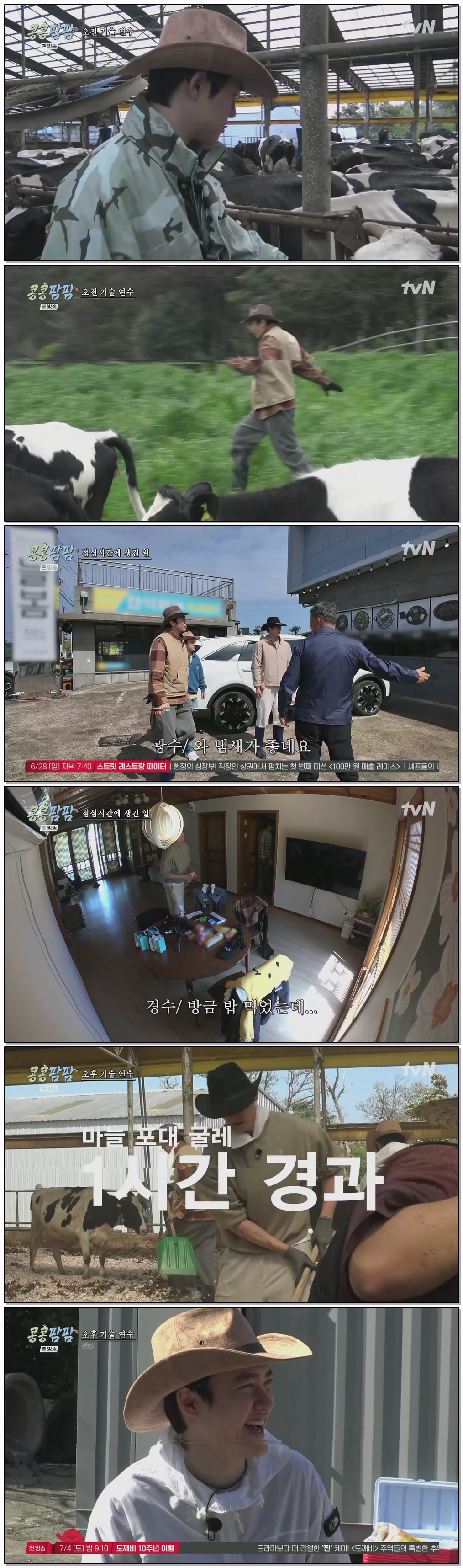 콩콩팜팜.E02.260626.H264.1080p-F1RST.mp4