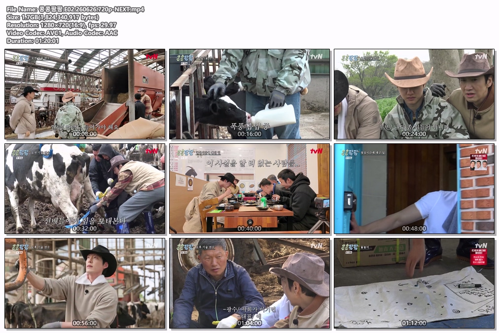 콩콩팜팜.E02.260626.720p-NEXT