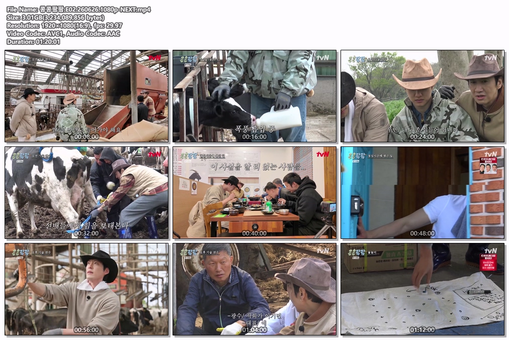 콩콩팜팜.E02.260626.1080p-NEXT