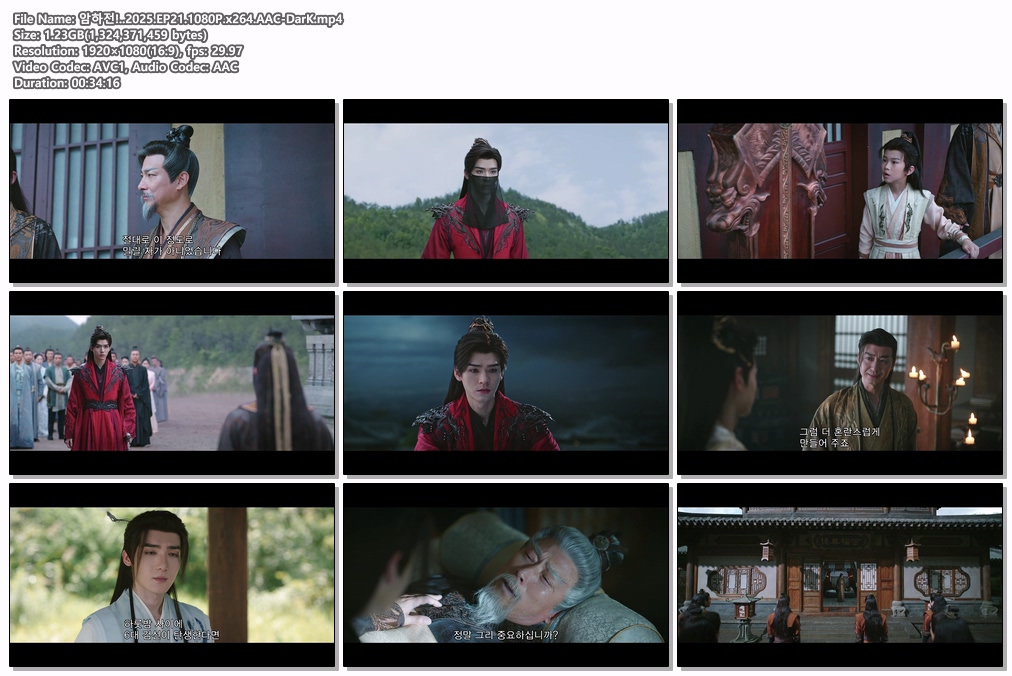 암하전!..2025.EP21.1080P.x264..