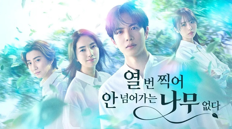 열 번 찍어 안 넘어가는 나무 없다 E05 1080p WEB-DL H264