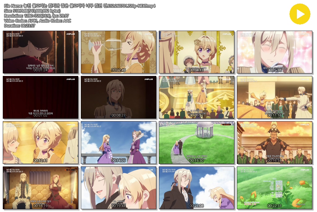 놓친 물고기는 컸지만 잡은 물고기가 너무 컸던 건.E12.260701.720p-NEXT