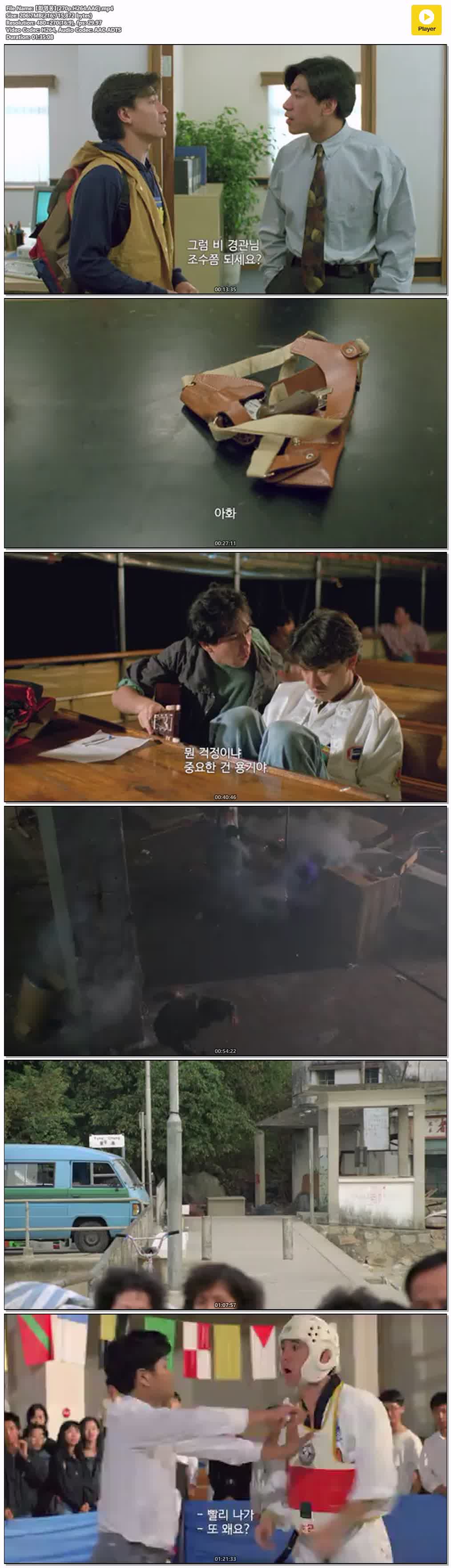 【화영웅】(270p.H264.AAC)