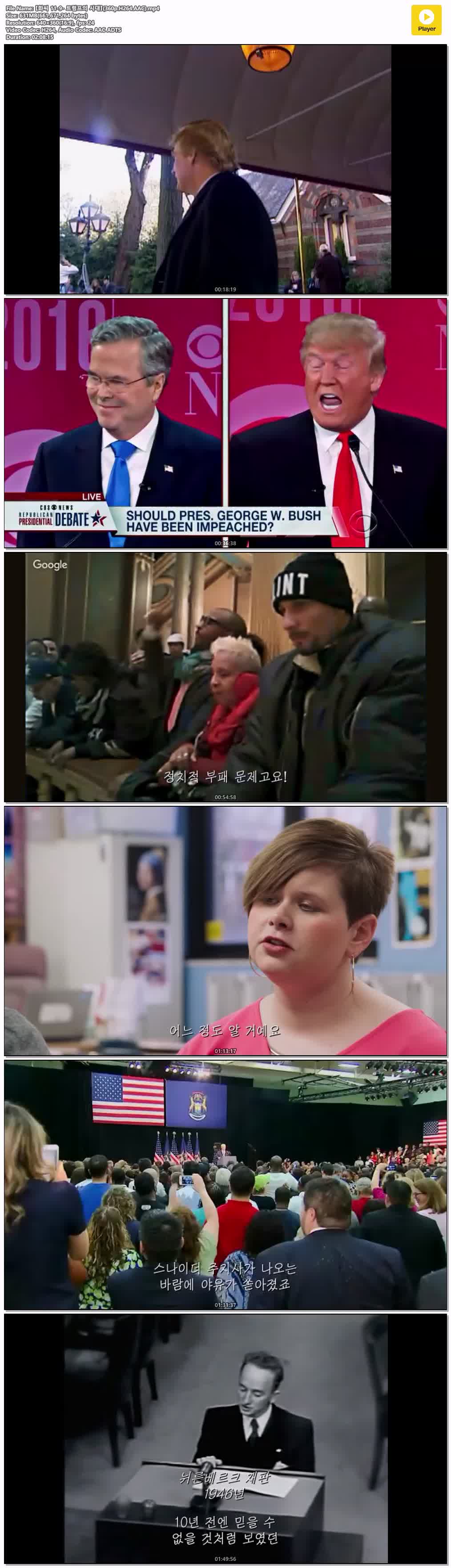 【화씨 11-9- 트럼프의 시대】(360p.H264.AAC)