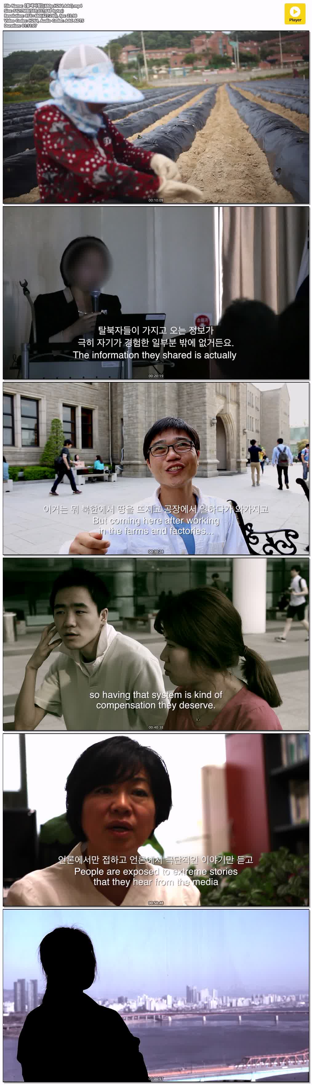 【황색바람】(480p.H264.AAC)