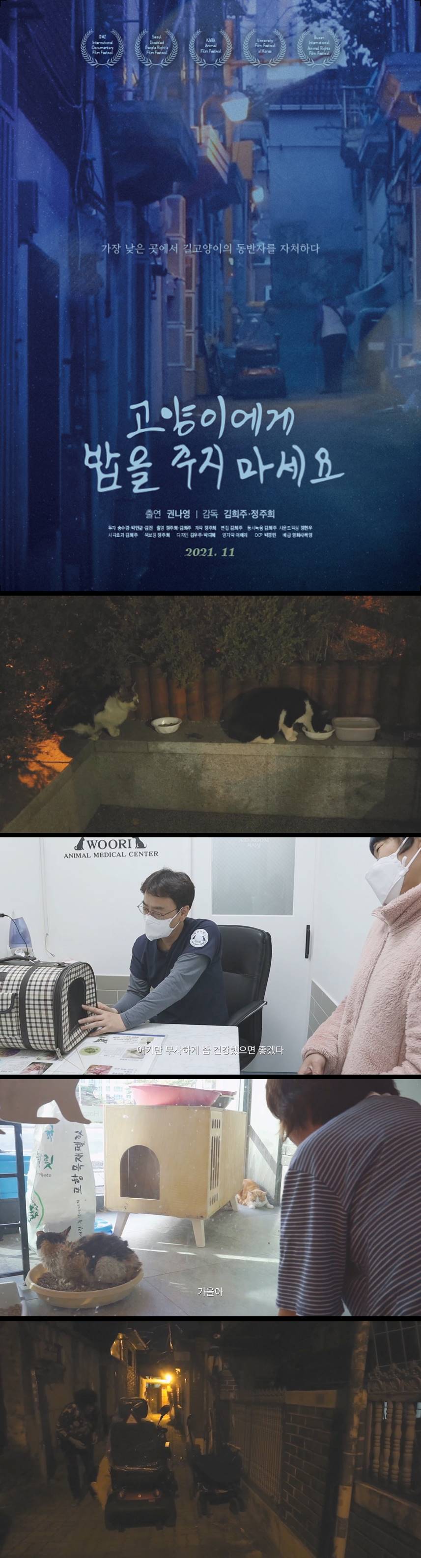 [고양이에게 밥을 주지마세요] 가장 낮은 곳에서 길고양이의 동반자를 자처하다