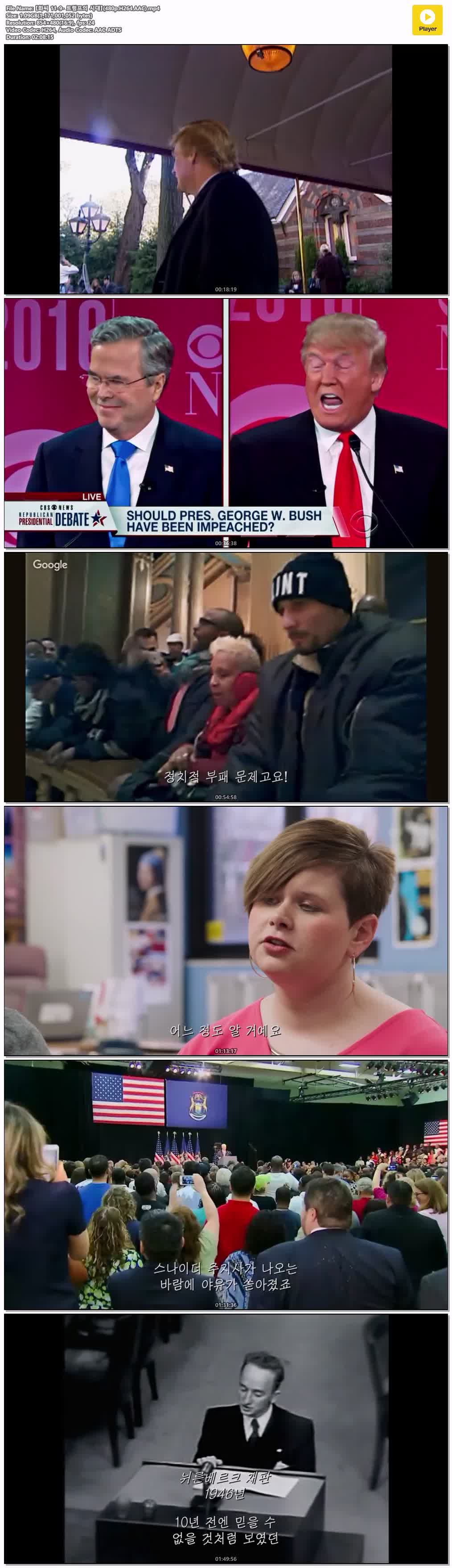 【화씨 11-9- 트럼프의 시대】(480p.H264.AAC)