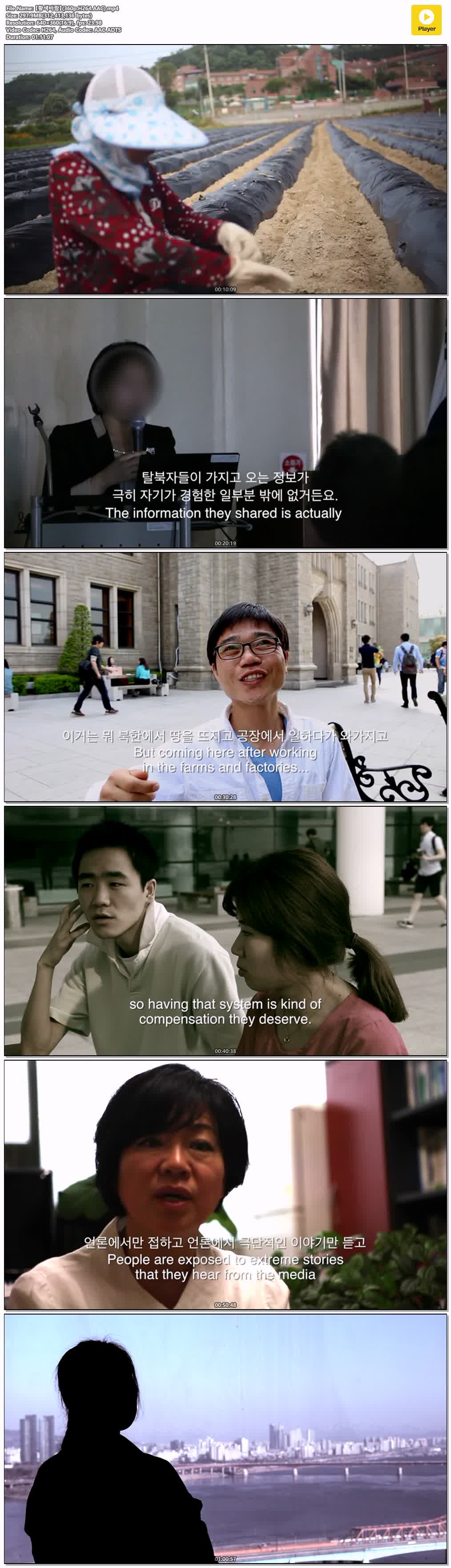 【황색바람】(360p.H264.AAC)