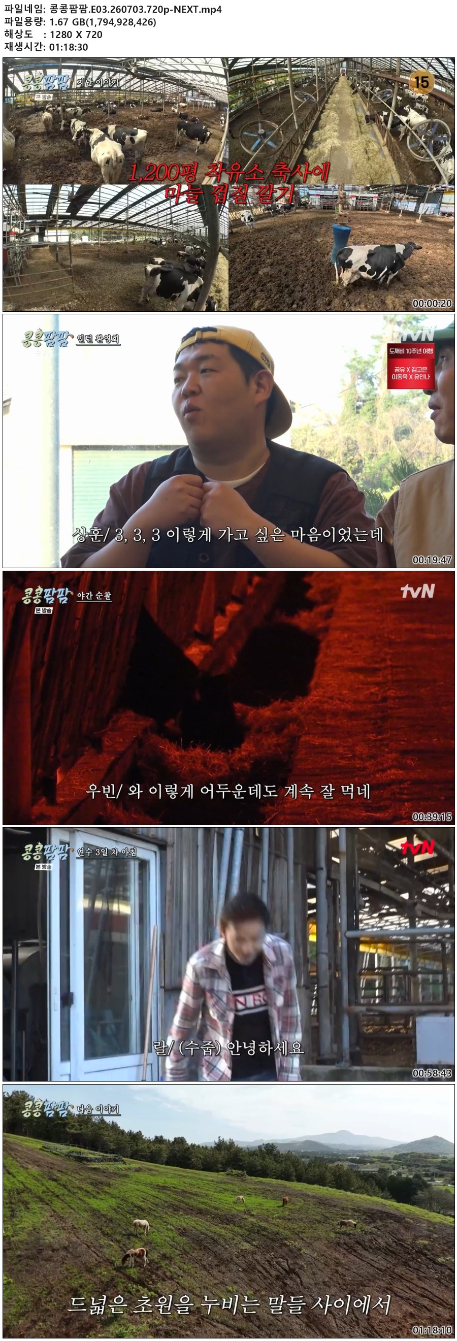 콩콩팜팜.E03.260703.720p-NEXT