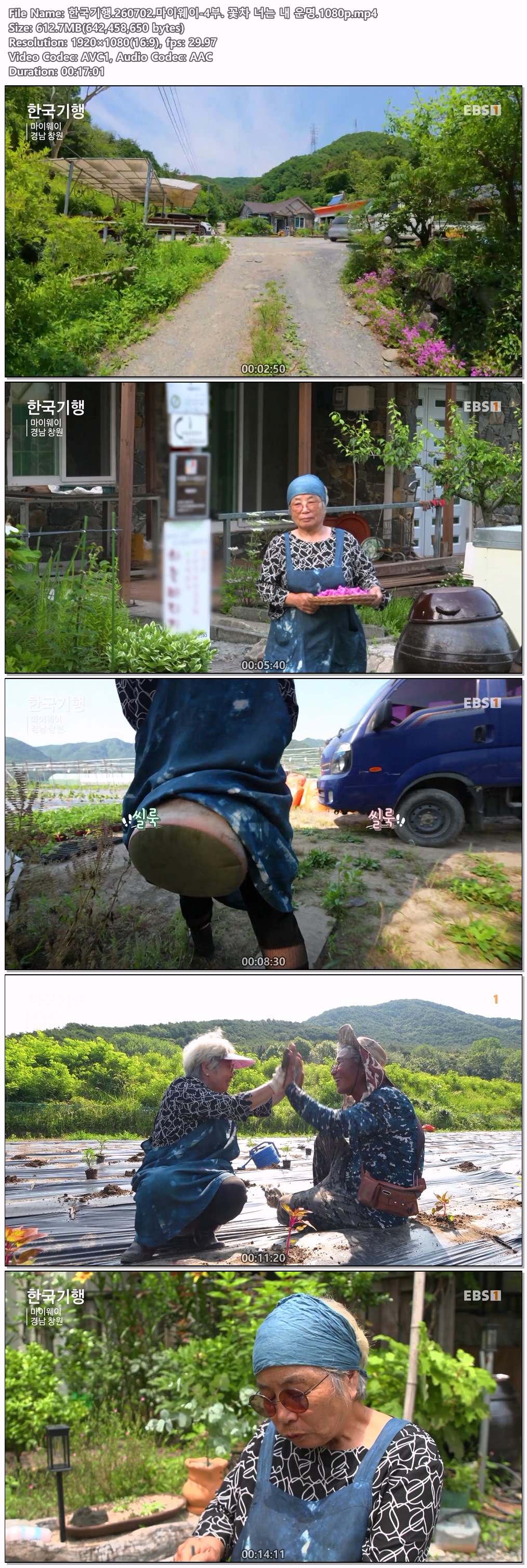 한국기행.260702.마이웨이-4부. 꽃차 너는 내 운명.1080p