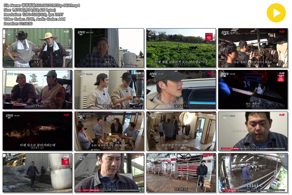 콩콩팜팜.E03.260703.720p-NEXT
