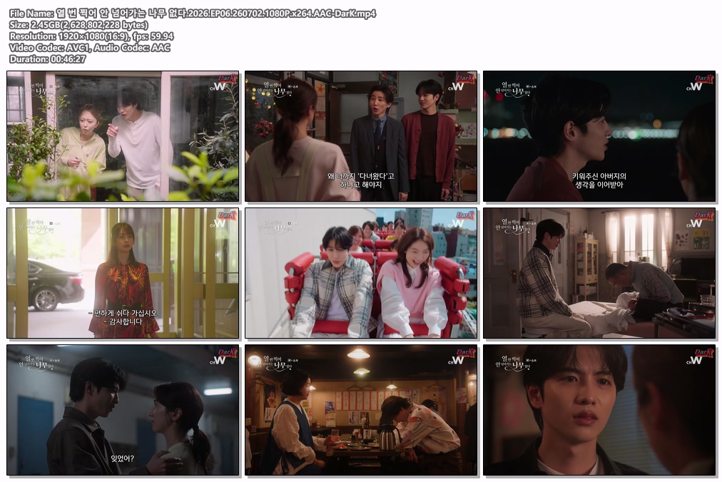 열 번 찍어 안 넘어가는 나무 없다.2026.EP06.260702.1080P.x264.AAC-DarK