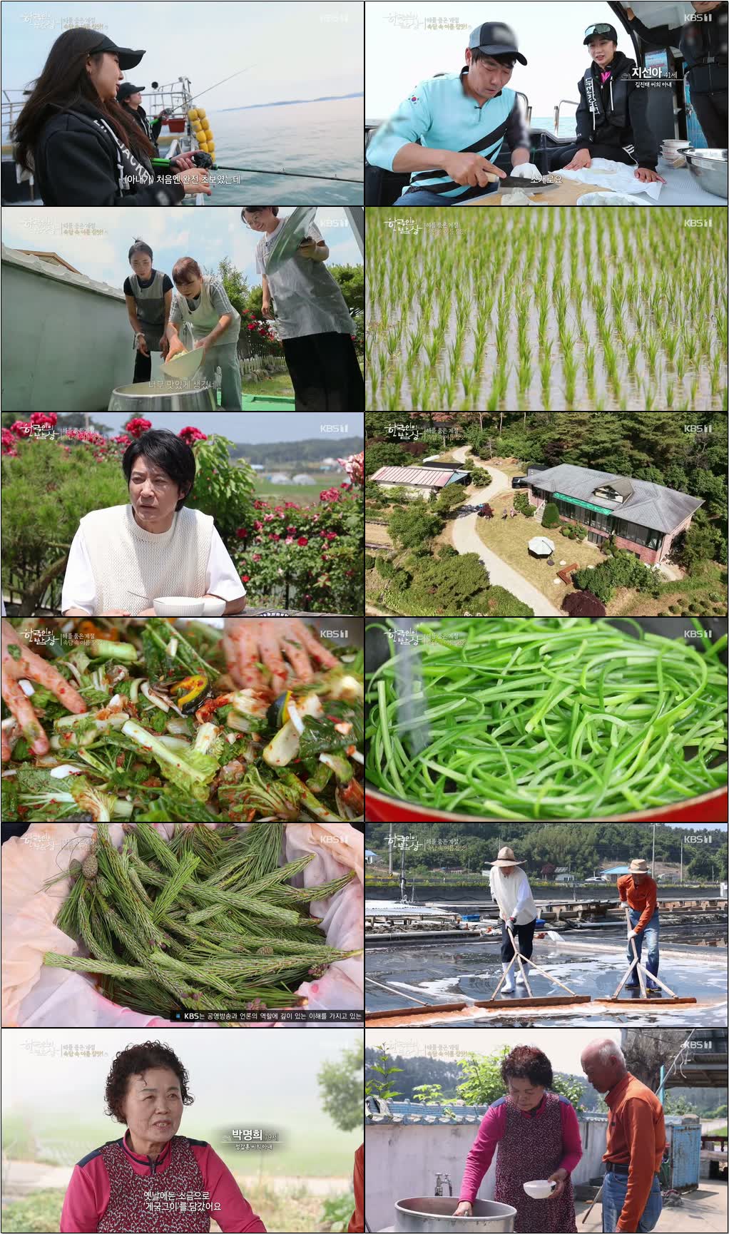 한국인의 밥상.E761.260702.720p-NEXT