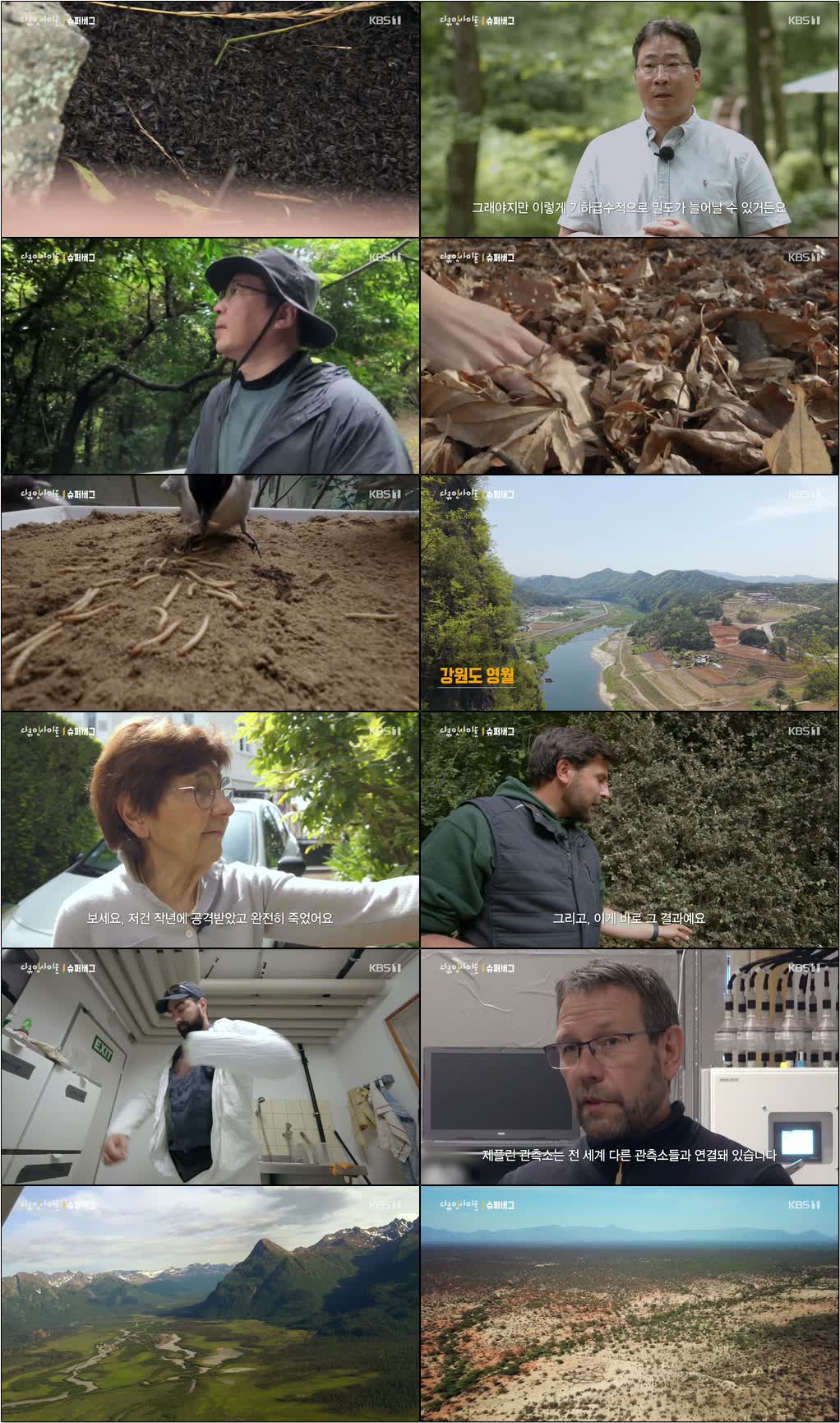기후위기 기획 다큐 인사이트.E281.260702.720p-NEXT