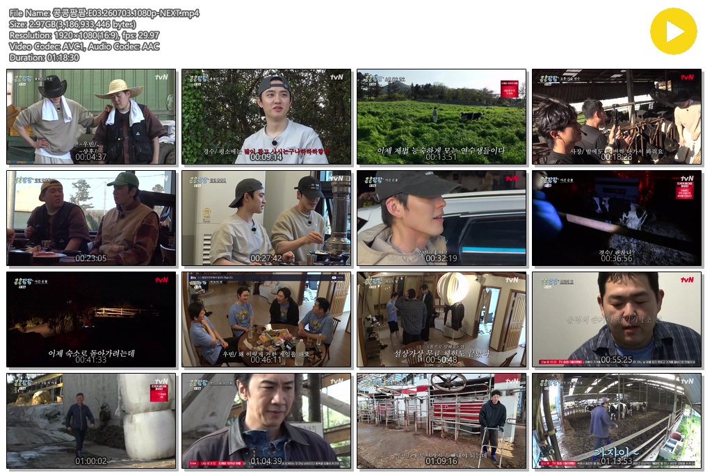 콩콩팜팜.E03.260703.1080p-NEXT