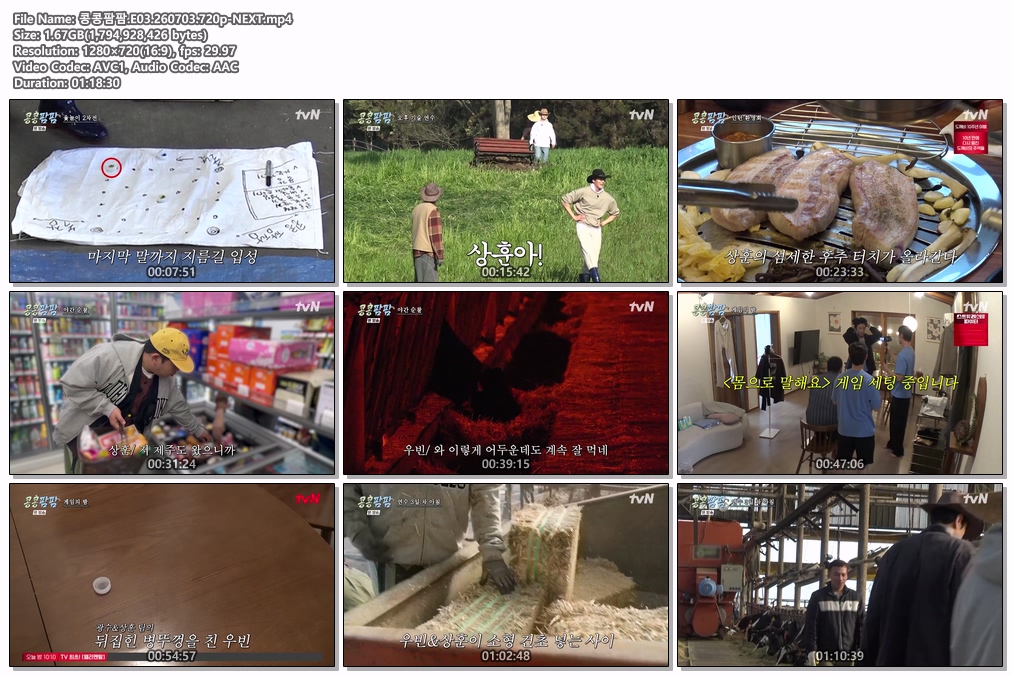 콩콩팜팜.E03.260703.720p-NEXT