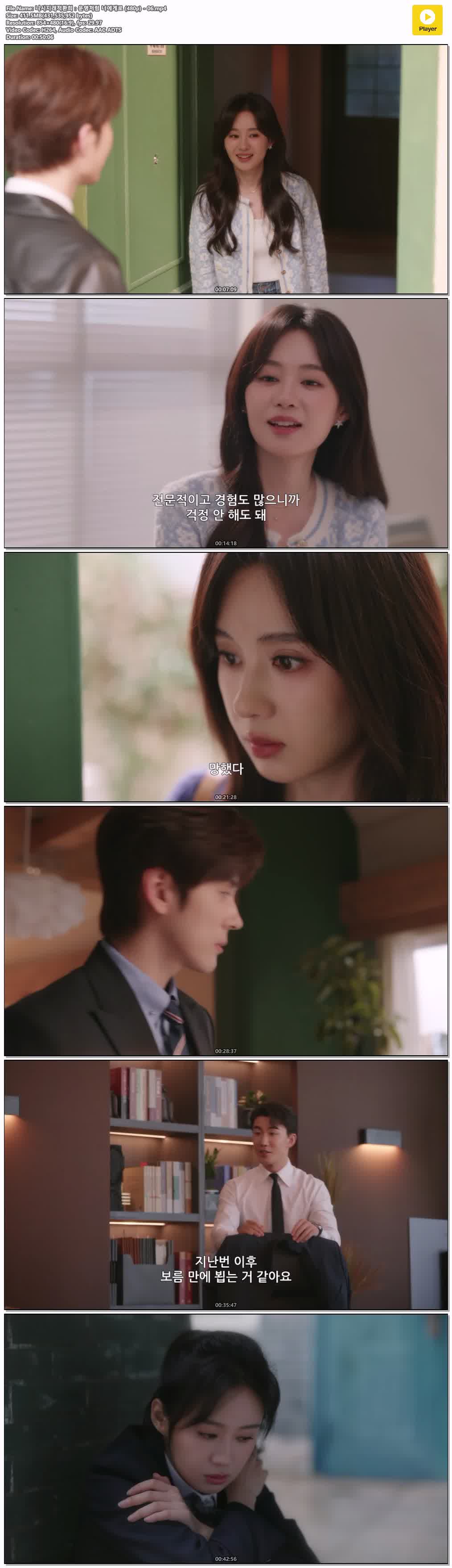 니시지래적환희：운명처럼 너에게로 (480p) - 06