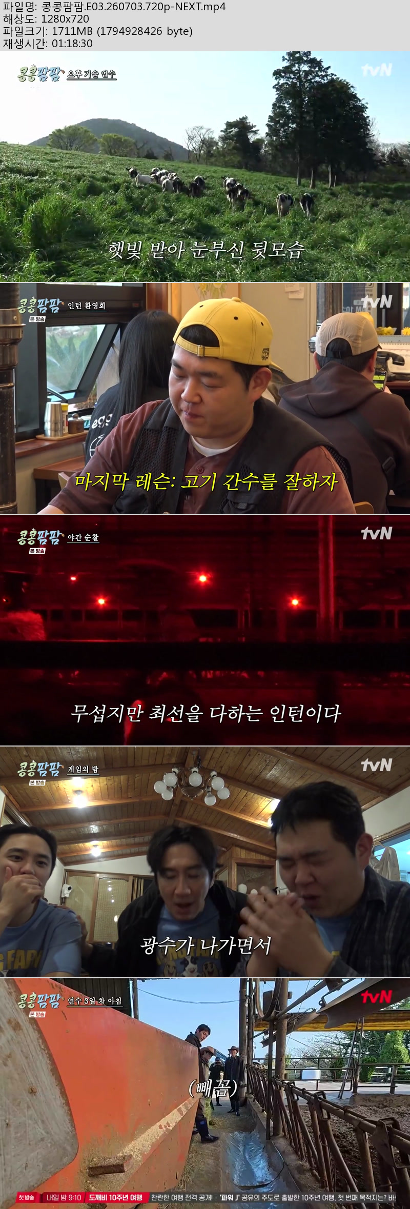 콩콩팜팜.E03.260703.720p-NEXT