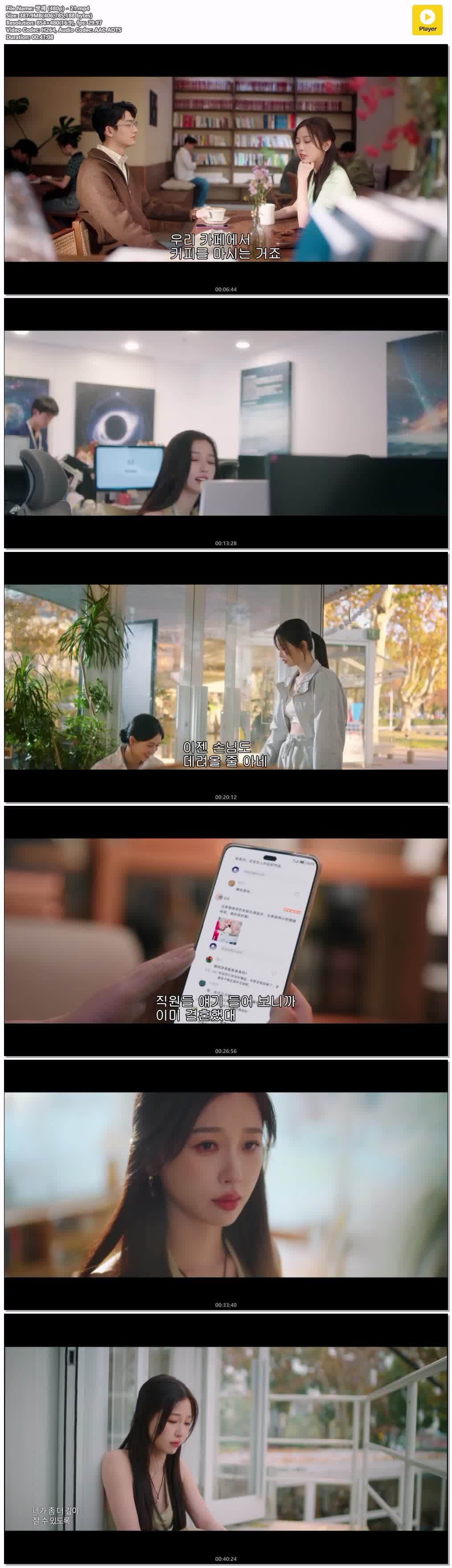 쌍궤 (480p) - 21