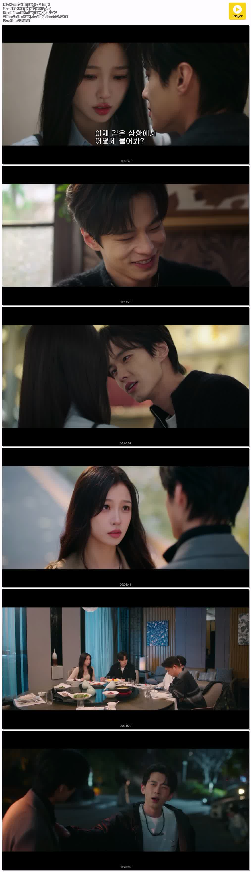 쌍궤 (480p) - 25