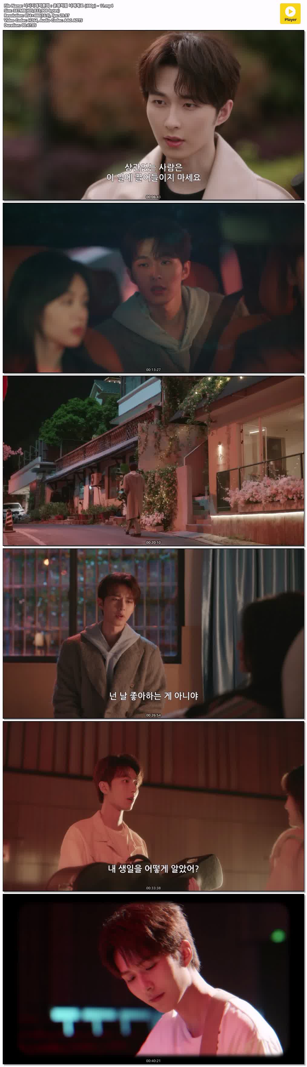 니시지래적환희：운명처럼 너에게로 (480p) - 11