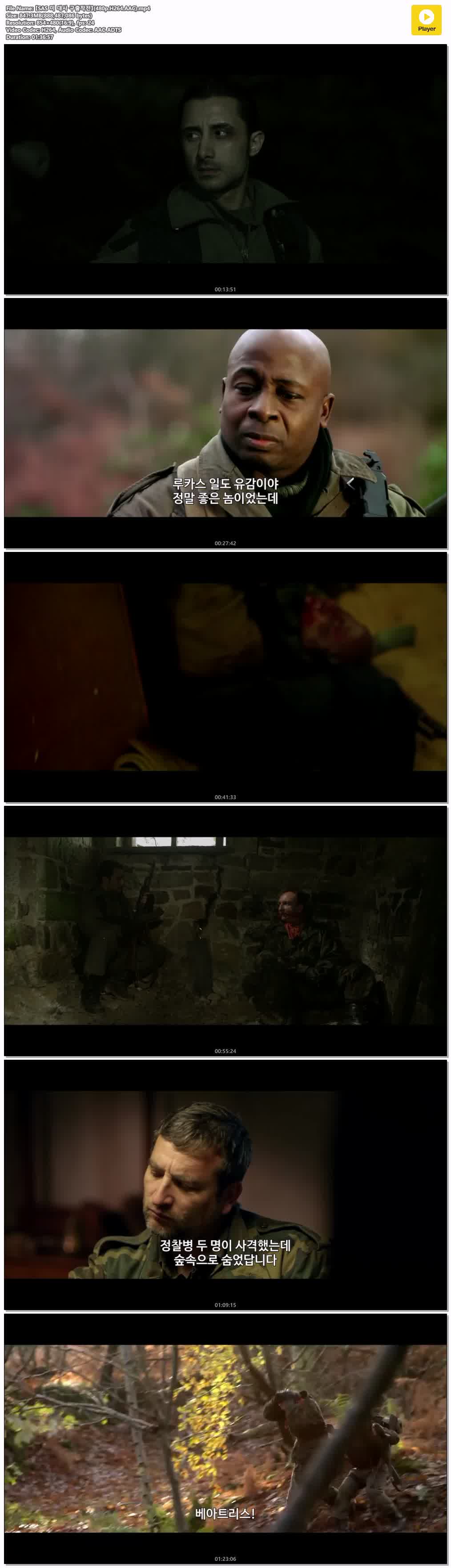 【SAS 미 대사 구출작전】(480p.H264.AAC)