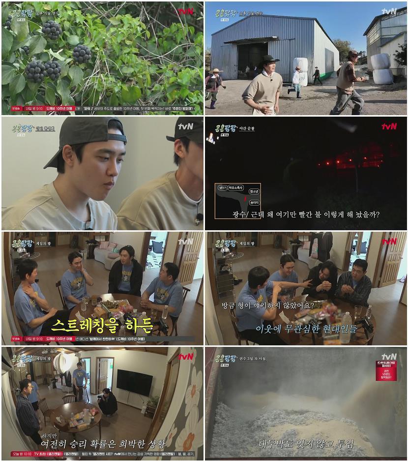 콩콩팜팜.E03.260703.1080p.H264-F1RST