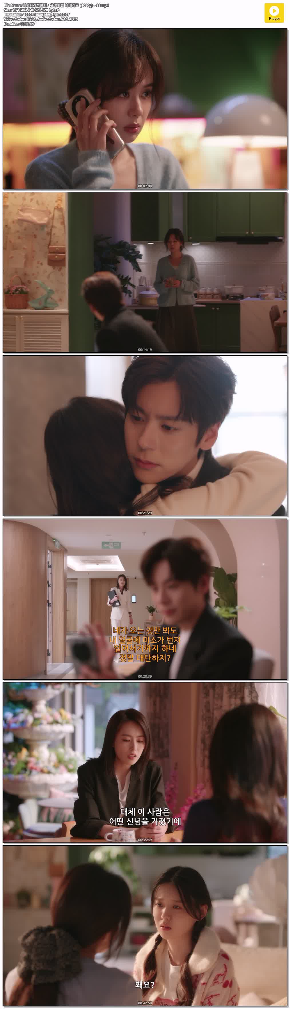니시지래적환희：운명처럼 너에게로 (1080p) - 22