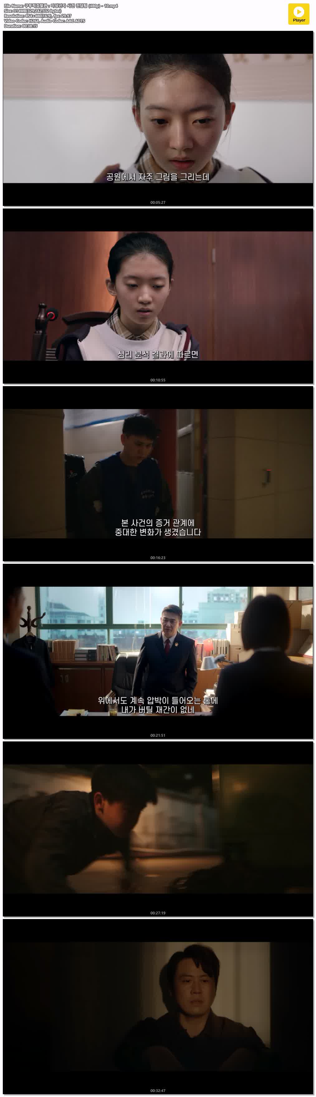 구부적검찰관：미성년자 사건 전담팀 (480p) - 10
