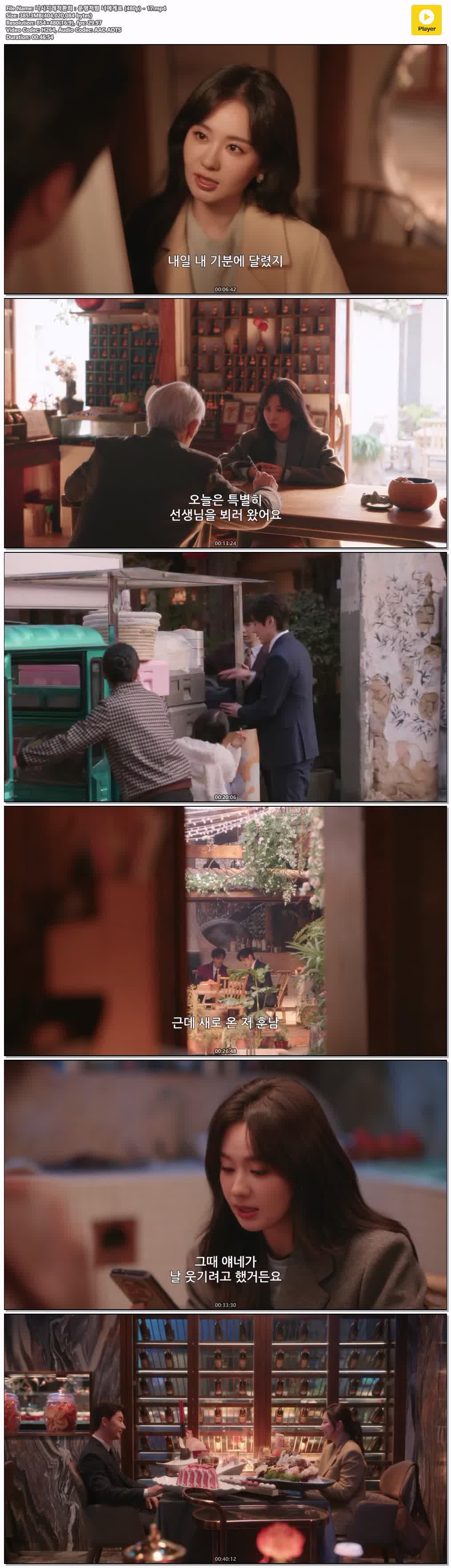 니시지래적환희：운명처럼 너에게로 (480p) - 17