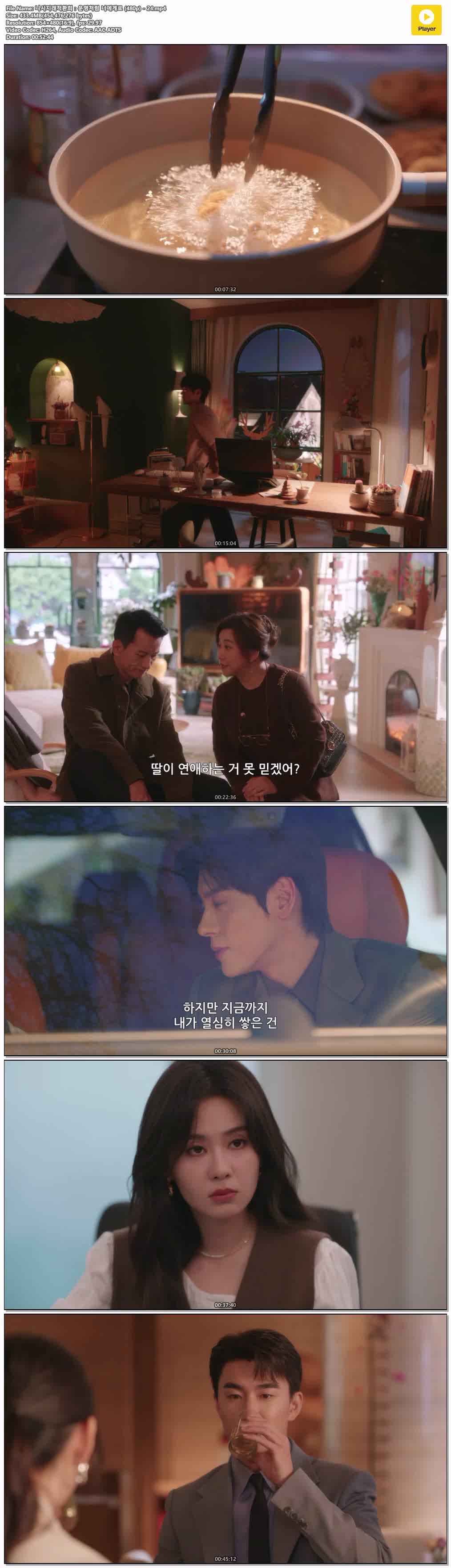 니시지래적환희：운명처럼 너에게로 (480p) - 24