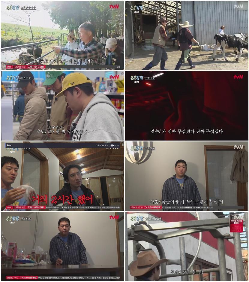 콩콩팜팜.E03.260703.720p-NEXT