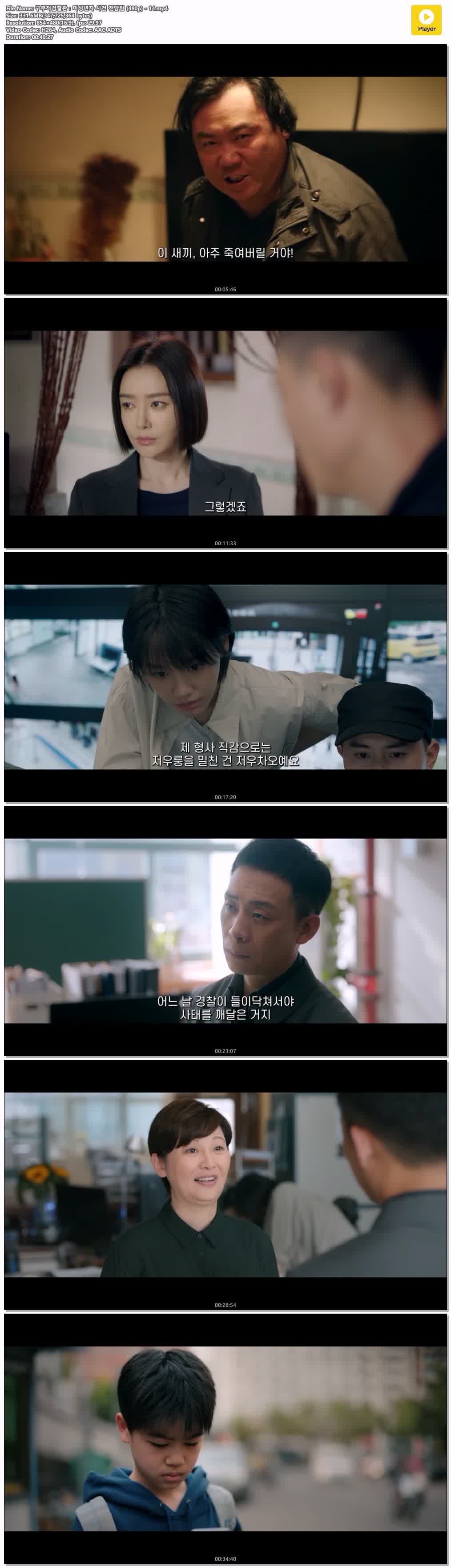 구부적검찰관：미성년자 사건 전담팀 (480p) - 14