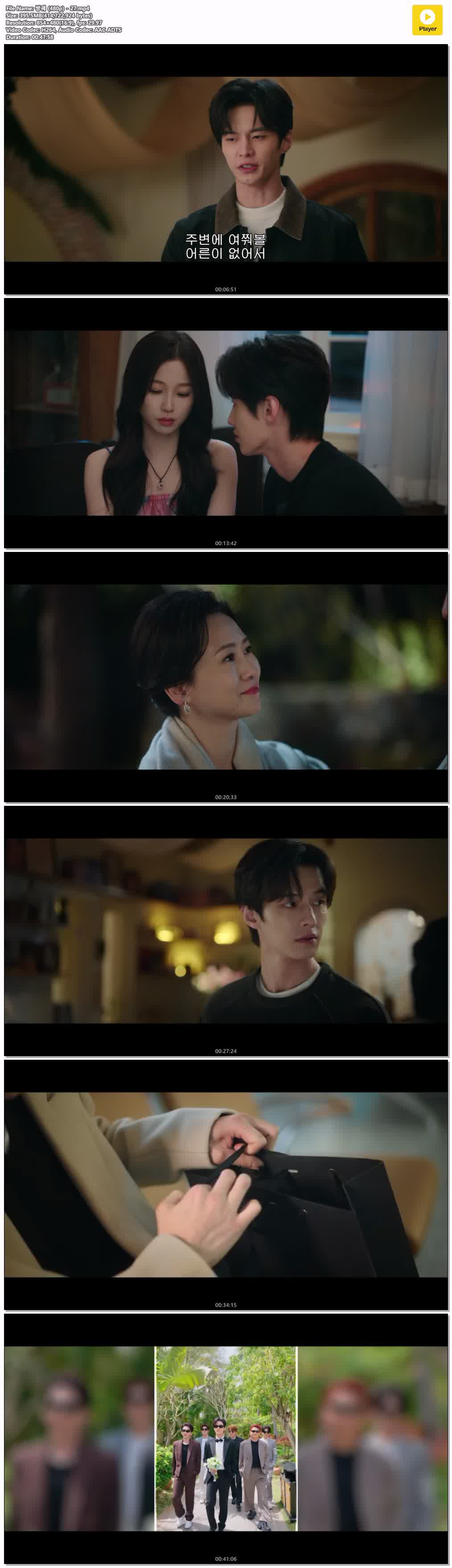 쌍궤 (480p) - 27